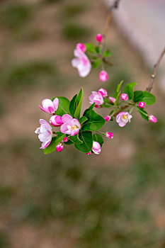 chơi lô đề có lãi