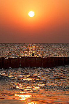 nhà cái số đề