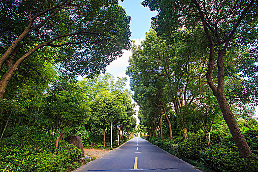 soi cau 368 chinh xac